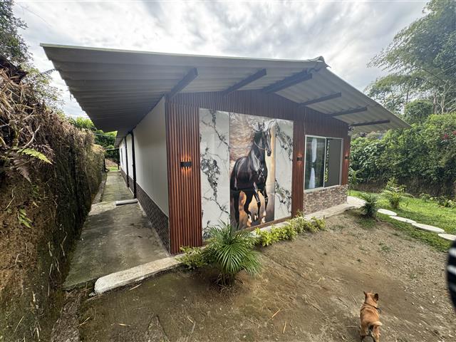 Single-story house with a metal roof, a large horse mural on the exterior wall, a small garden, and a brown dog in the dirt yard.