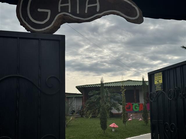 Open wrought-iron gate opens to a grassy garden with small evergreen trees and a colorful 'GAIA' sign in the background under a cloudy sky.