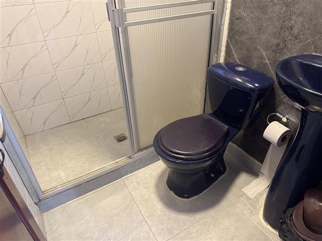 A dark toilet beside a shower stall with frosted door in a tiled bathroom, toilet paper on a holder nearby and a sink on the right.